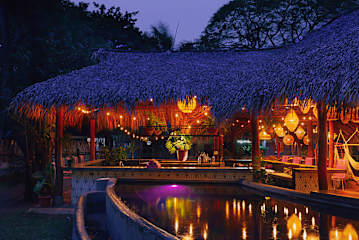 Photos of The SPACE. Jungle oasis