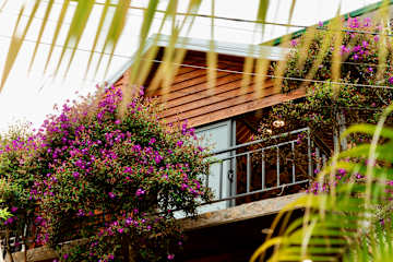 Photos of Thung Lung May Homestay