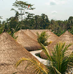 Fotos de The Lazy Lama Ubud