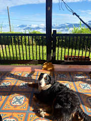 Photos of Finca Panorama Hostel