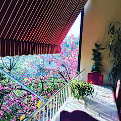 Photos of Hotel Baron