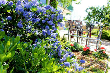 Photos of Apartments and Rooms Idassa