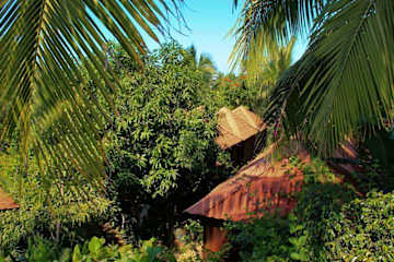 Photos of Osa Mariposa