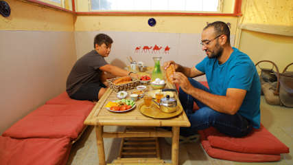 Photos of Negev Camel Ranch
