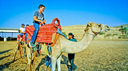 Photos of Negev Camel Ranch