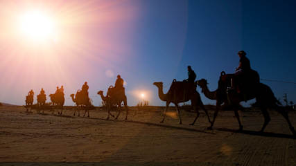 Photos of Negev Camel Ranch