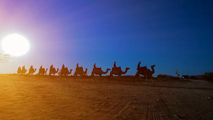 Photos of Negev Camel Ranch