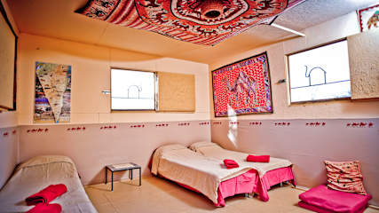 Photos of Negev Camel Ranch
