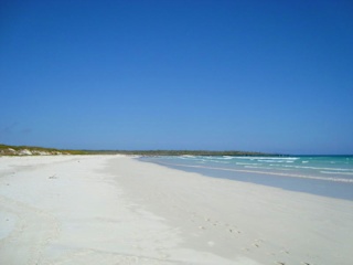 Photos of Los Pinguinos