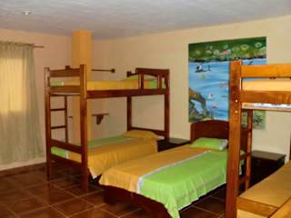 Photos of Los Pinguinos