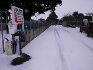 Big Tree Lodge Methvenの写真