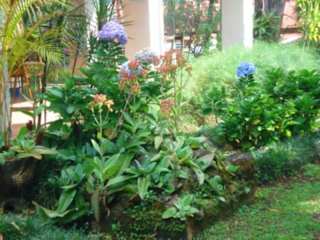 Photos of Hotel Aeropuerto San Jose Airport