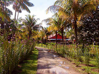 Photos of Mahatu Leticia Hostel