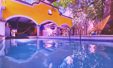 Fotografias de