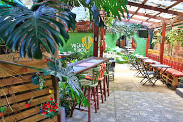 Photos of Mangifera Hostel
