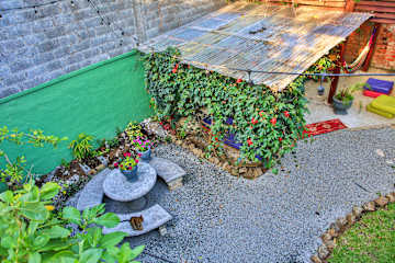 Photos of Mangifera Hostel