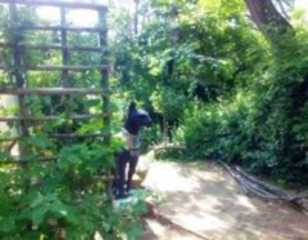 Photos of Rosebank Lodge