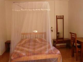 Photos de