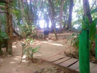 Photos of Crocodile Surf Camp and Beachfront Cabins
