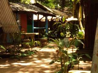 Photos of Crocodile Surf Camp and Beachfront Cabins
