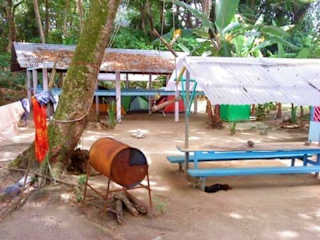 Photos of Crocodile Surf Camp and Beachfront Cabins