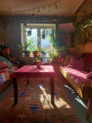 Bilder av