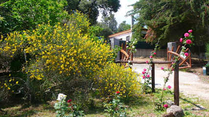 Fotos von 