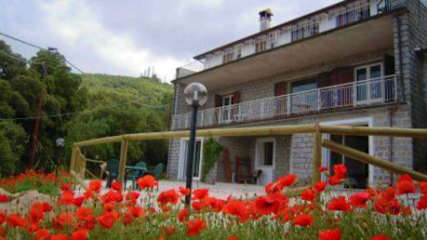 Fotos von 