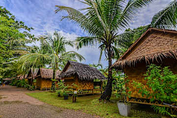 Bilder av