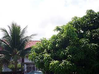 Photos of Thefunkymonkeyhostel