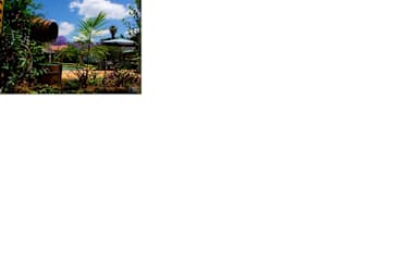Fotos de 1322 Backpackers International