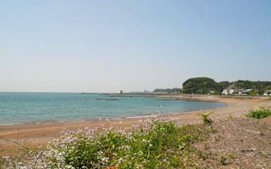 Photos of Pension Sirogisu