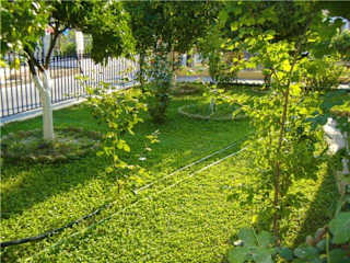 Photos of Rantos Apartments