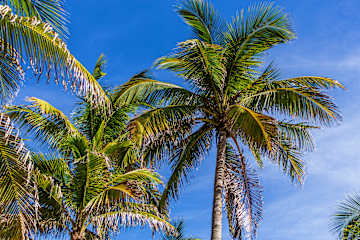 Photos of The Tropics Hotel and Hostel