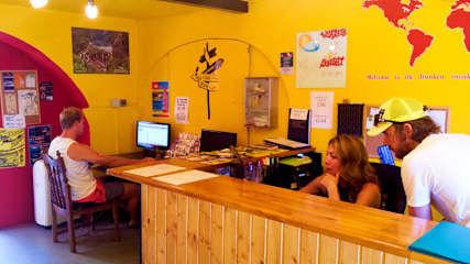 Photos of THE MELLOW MONKEY