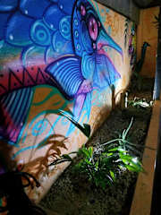 Photos of Villa Mandela Taganga