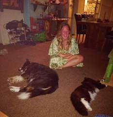 Photos of Newquay International Backpackers