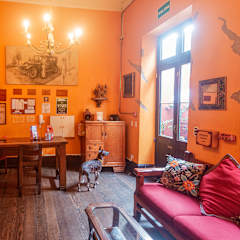 Photos of KACLLA, The Healing Dog Hostel