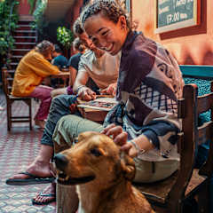 Photos of KACLLA, The Healing Dog Hostel