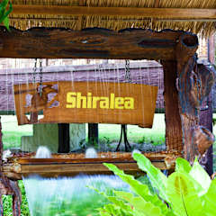 Photos of Shiralea Backpackers Resort