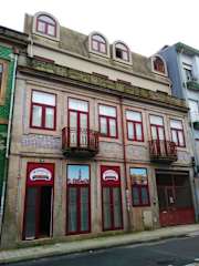 Photos of Myosotis Oporto