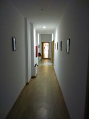 Photos of Myosotis Oporto