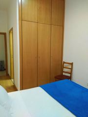 Photos of Myosotis Oporto