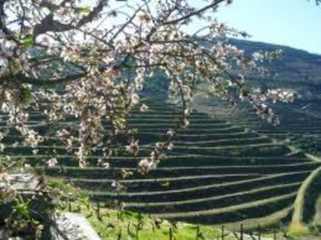 Hotel Douro Innの写真