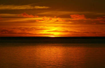 Bilder av