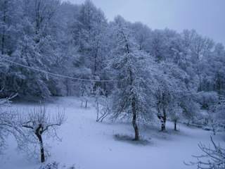 Foto di