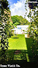 Bilder av