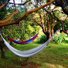 13 Lunas Hostelの写真