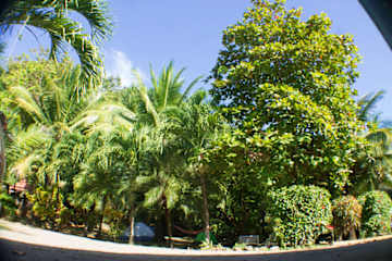 Fotos de