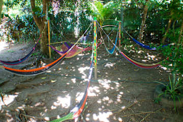 Fotos de